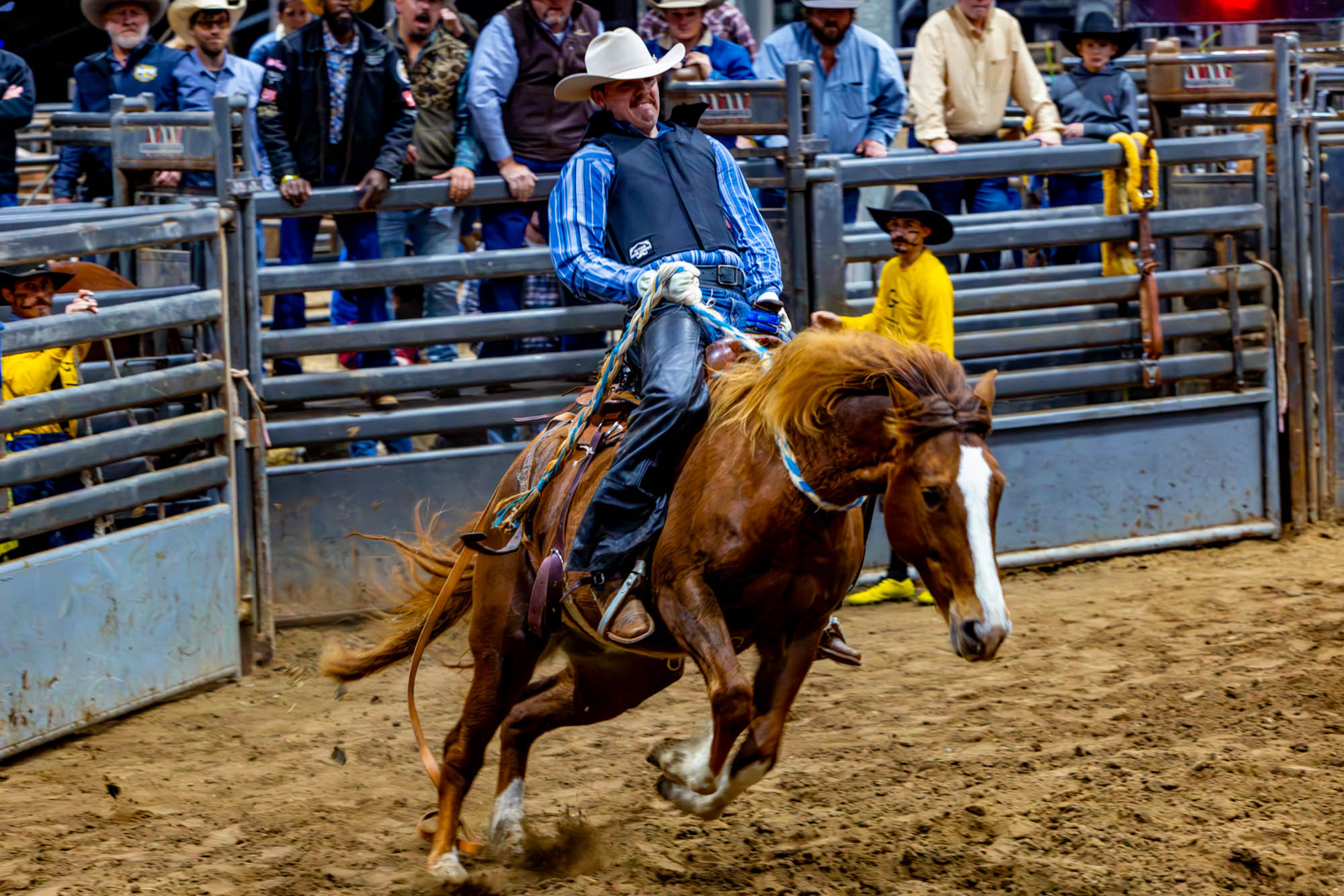 PHOTOS: LSU Block and Bridle hosts annual rodeo