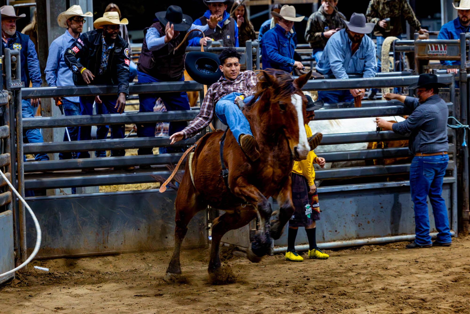 PHOTOS: LSU Block and Bridle hosts annual rodeo