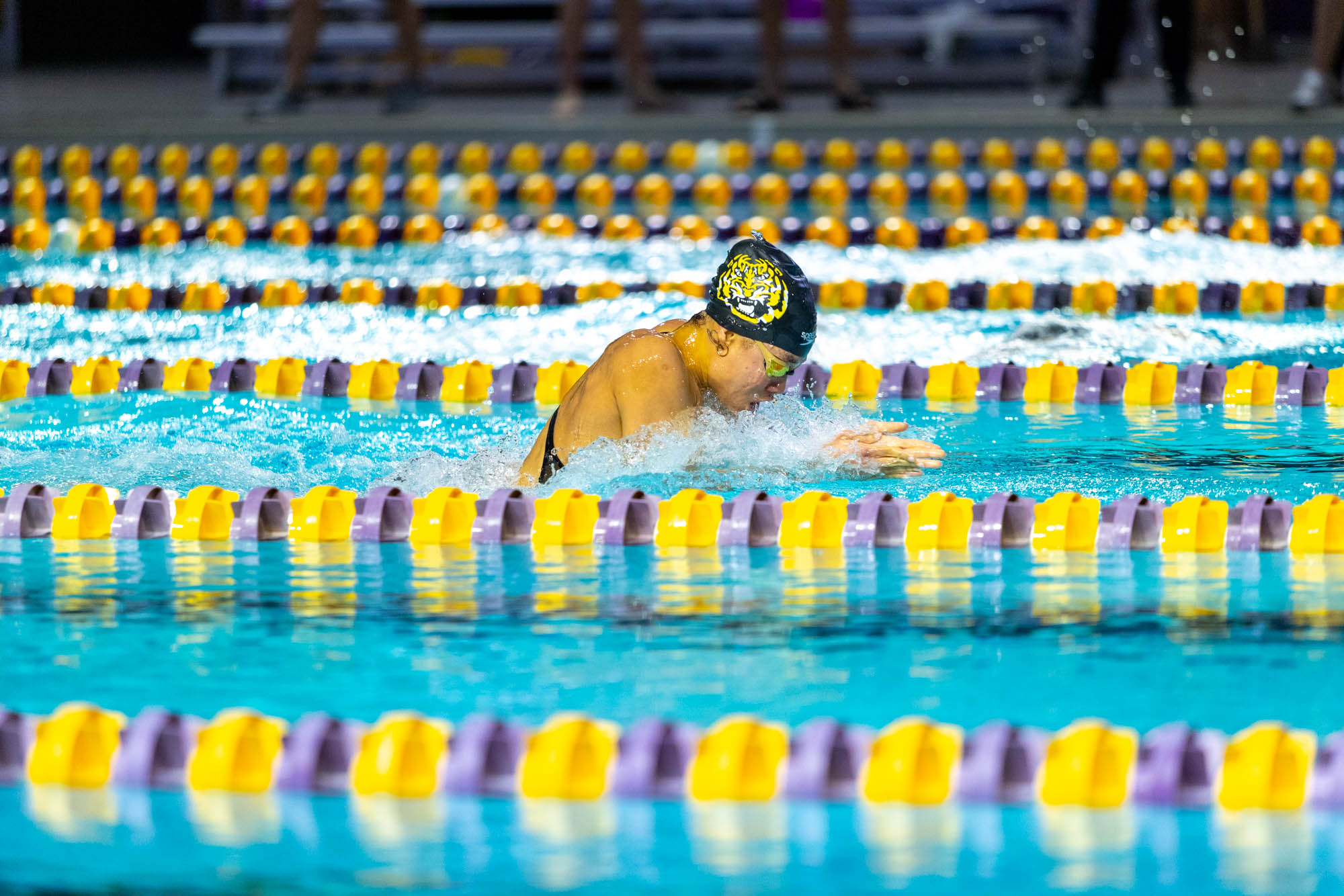 PHOTOS: LSU swim and dive competes intrasquad after weather cancellation