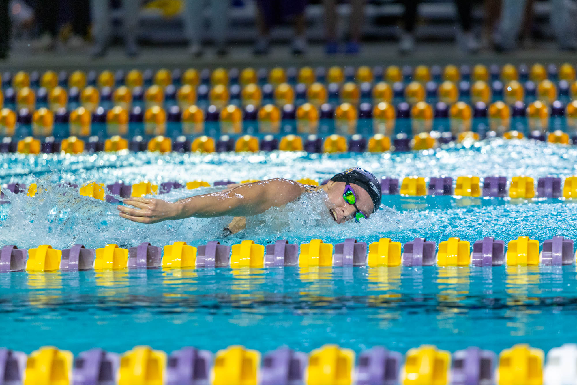 PHOTOS: LSU swim and dive competes intrasquad after weather cancellation