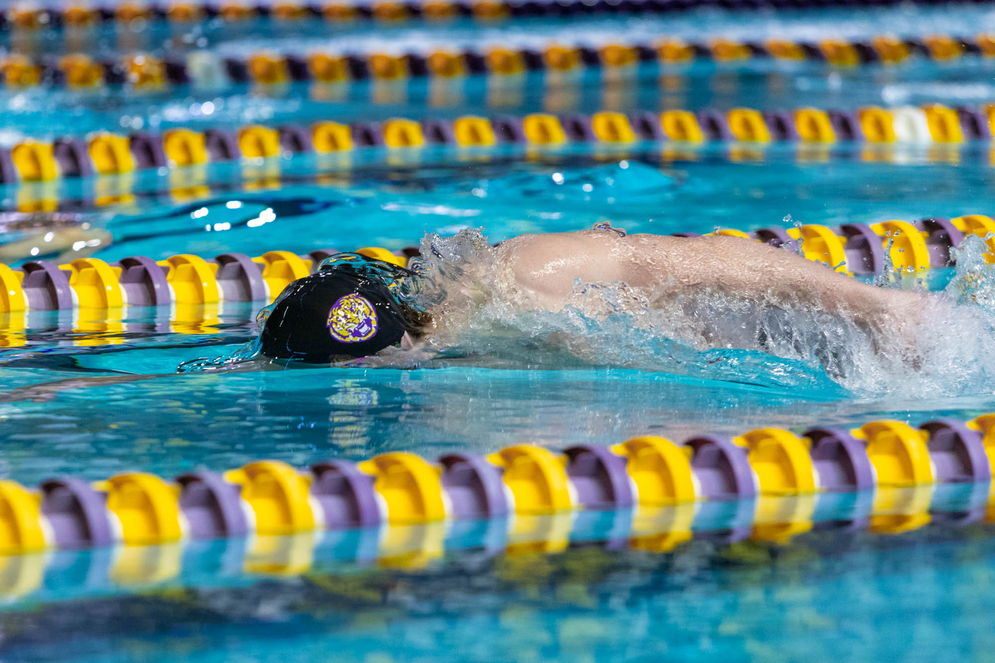 PHOTOS: LSU swim and dive competes intrasquad after weather cancellation