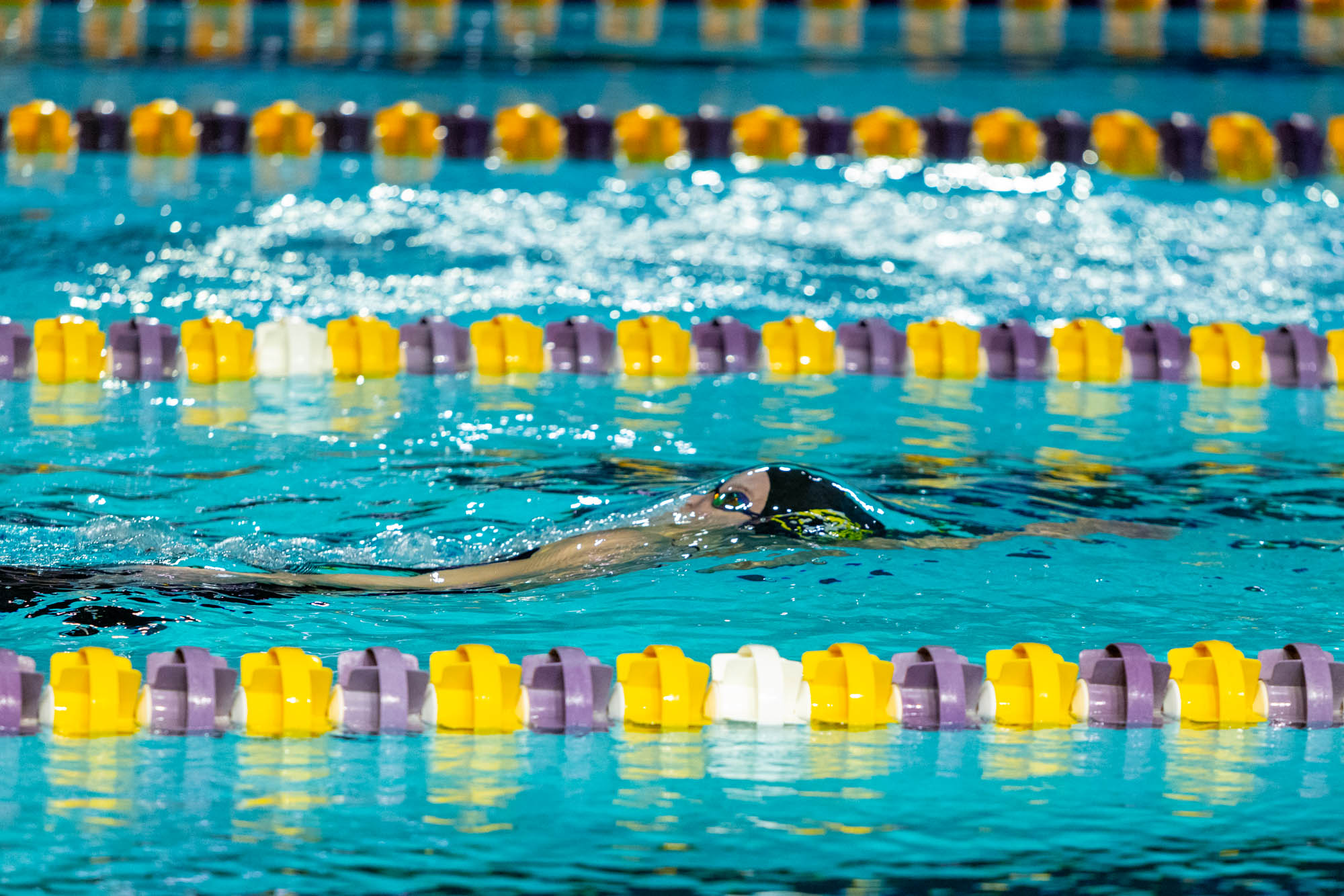 PHOTOS: LSU swim and dive competes intrasquad after weather cancellation