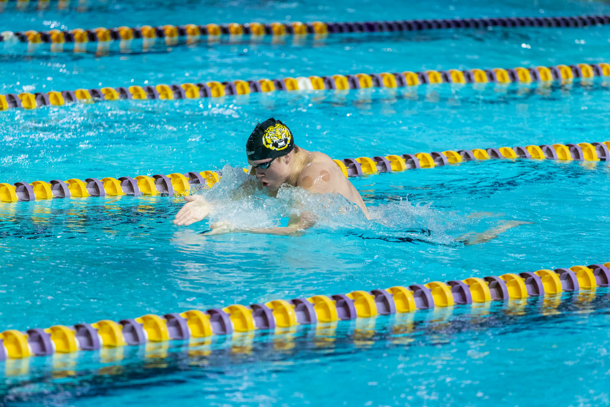 PHOTOS: LSU swim and dive competes intrasquad after weather cancellation
