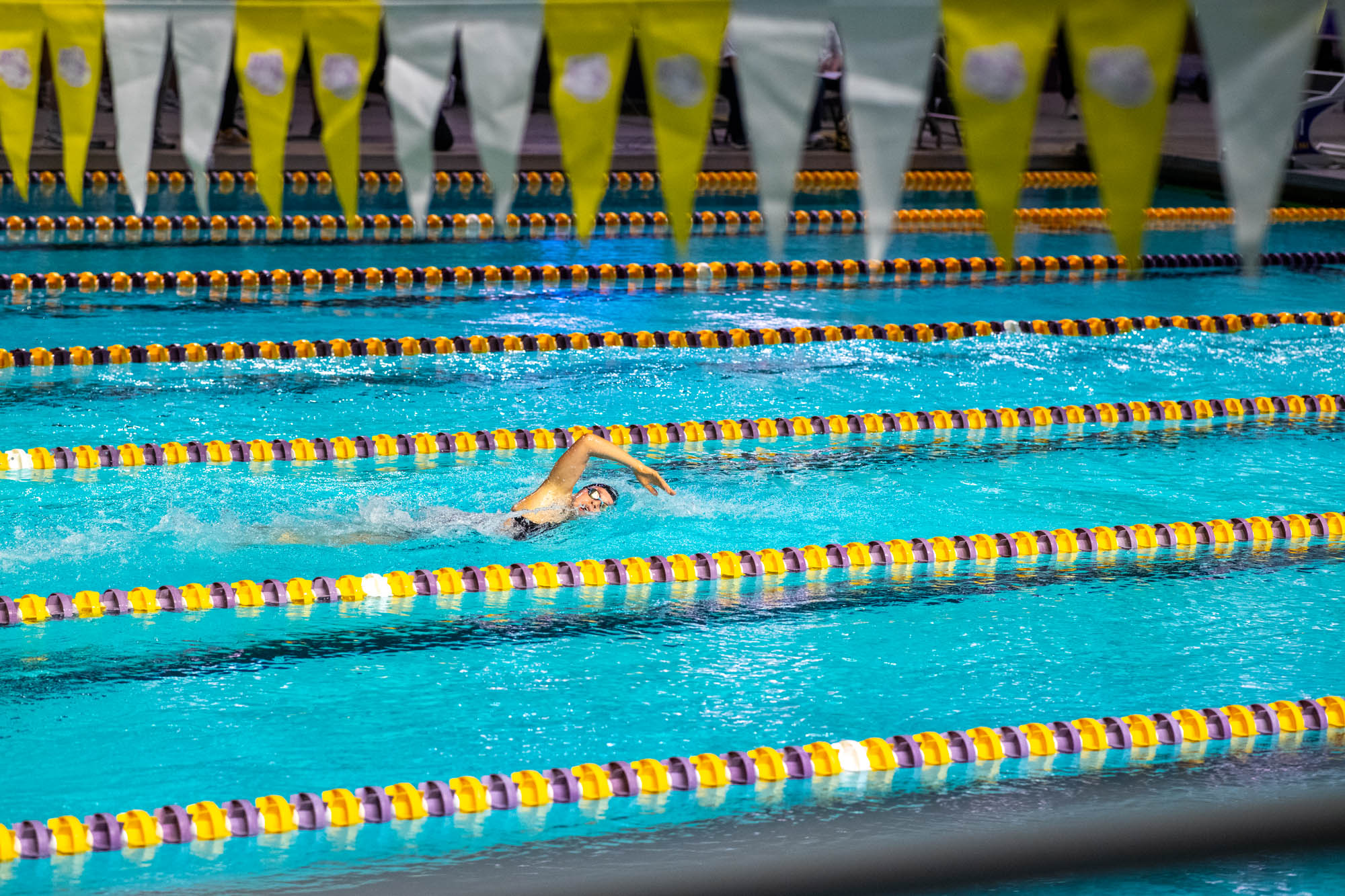 PHOTOS: LSU swim and dive competes intrasquad after weather cancellation