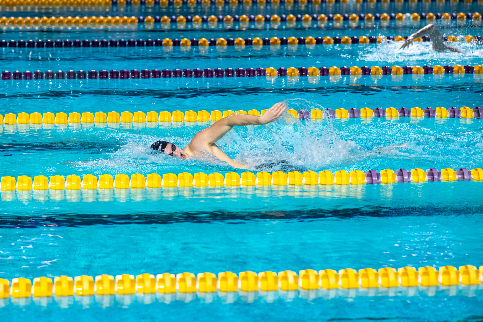PHOTOS: LSU swim and dive competes intrasquad after weather cancellation