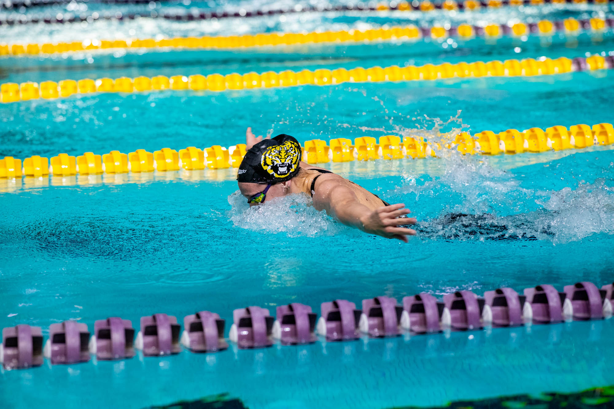 PHOTOS: LSU swim and dive competes intrasquad after weather cancellation