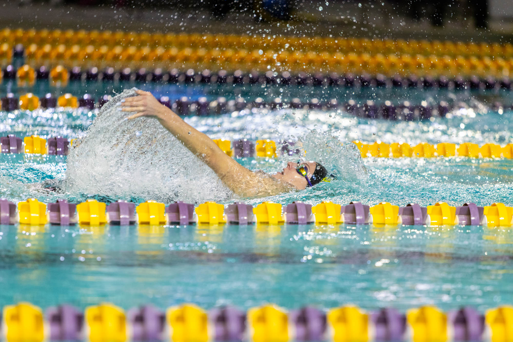 PHOTOS: LSU swim and dive competes intrasquad after weather cancellation