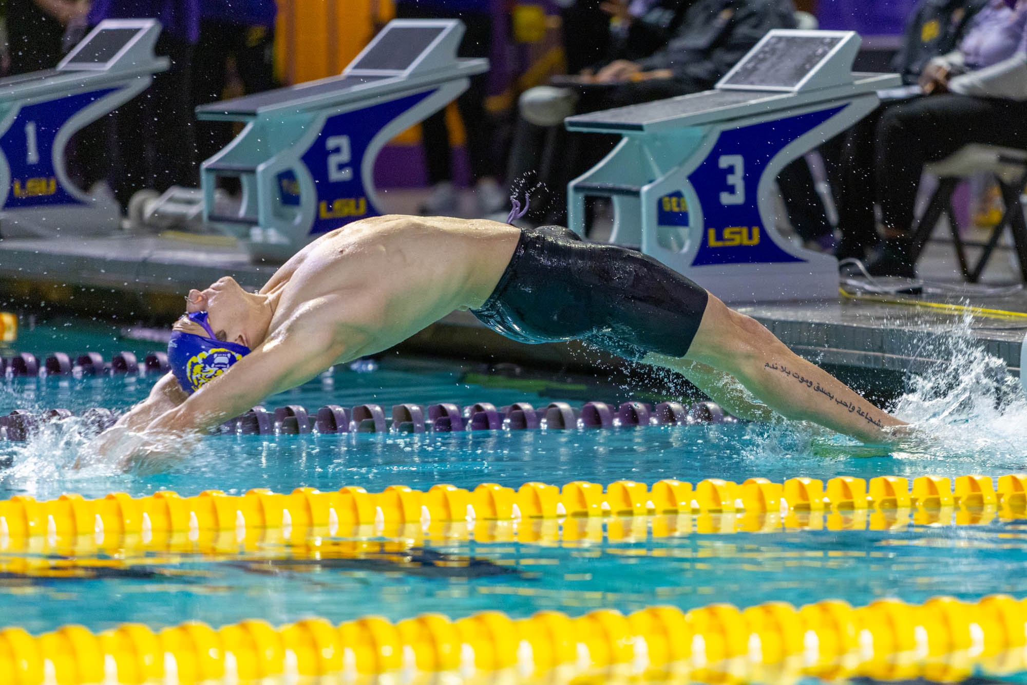 PHOTOS: LSU swim and dive competes intrasquad after weather cancellation