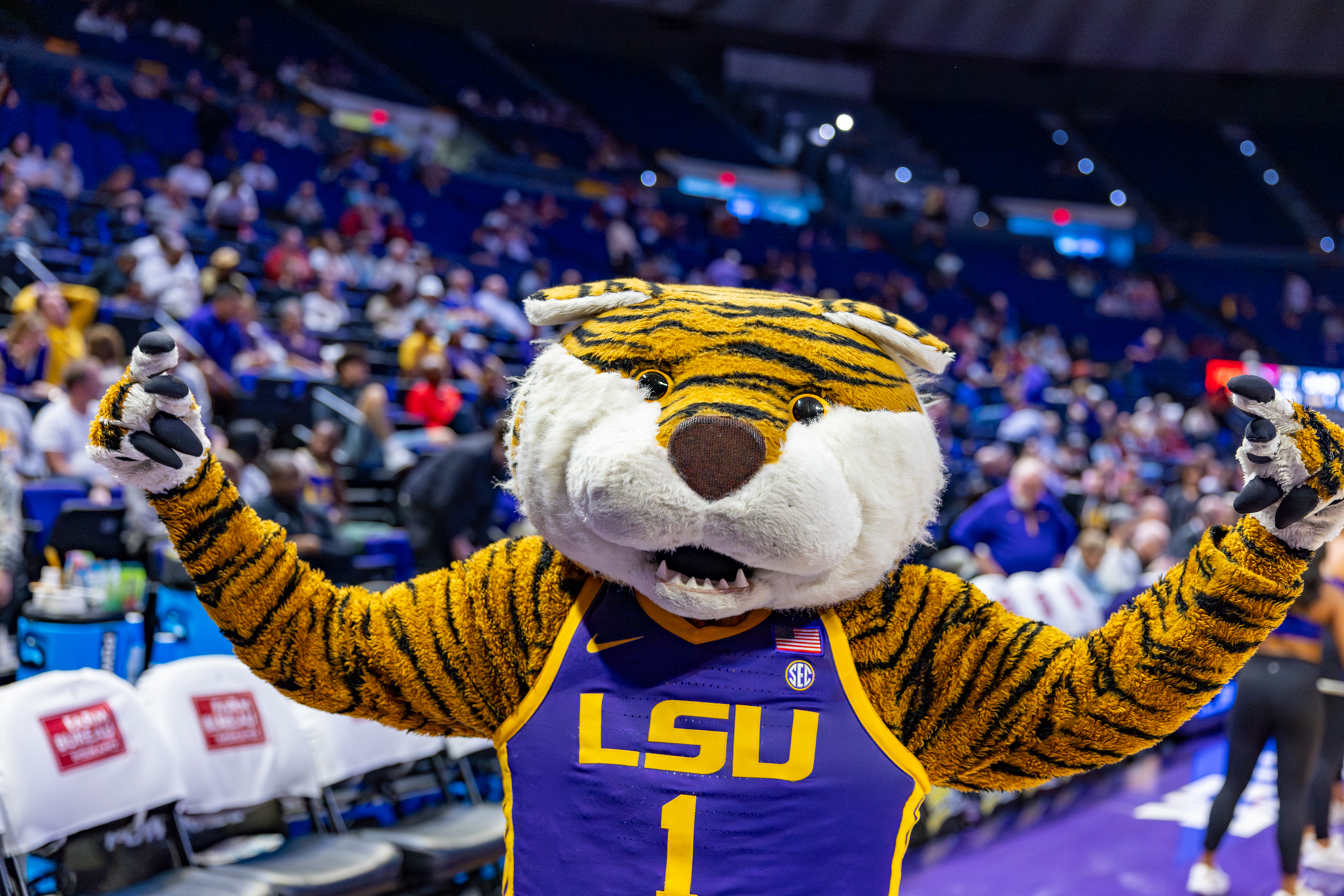 PHOTOS: LSU men's basketball crushed by Arkansas