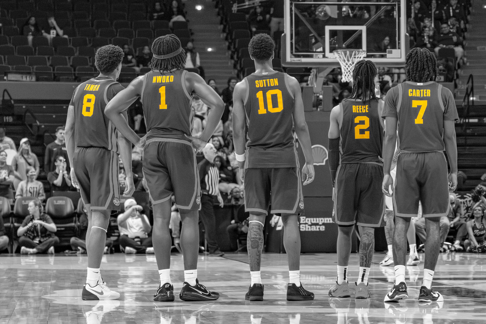 PHOTOS: LSU basketball color isolation