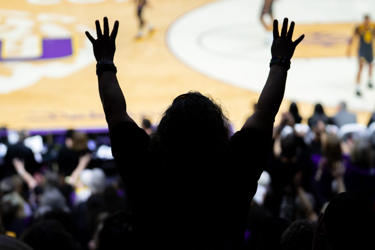 A fan celebrates during the Tigers' 79-72 loss against South Carolina Saturday, Feb. 14, 2026, at the Pete Maravich Assembly Center in Baton Rouge, La.