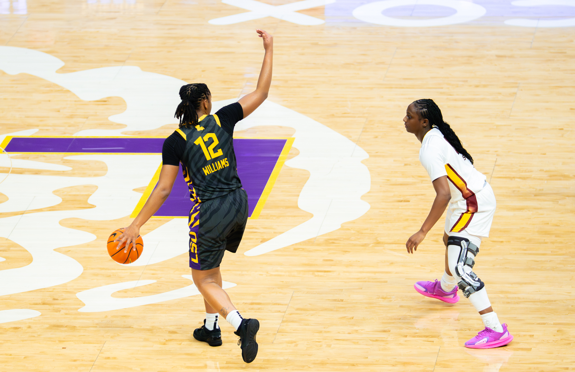 PHOTOS: LSU women's basketball suffers loss to rival South Carolina