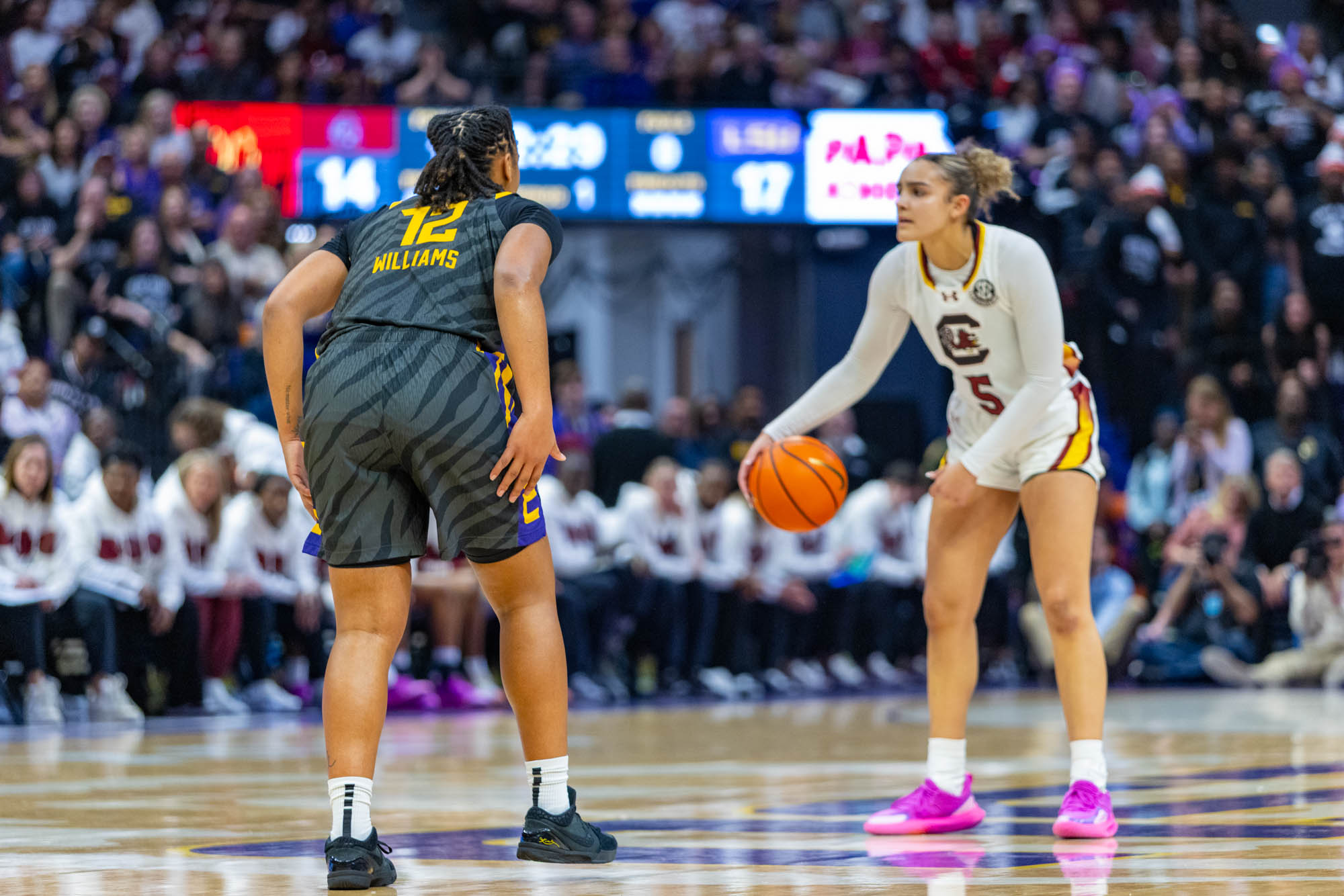 PHOTOS: LSU women's basketball suffers loss to rival South Carolina