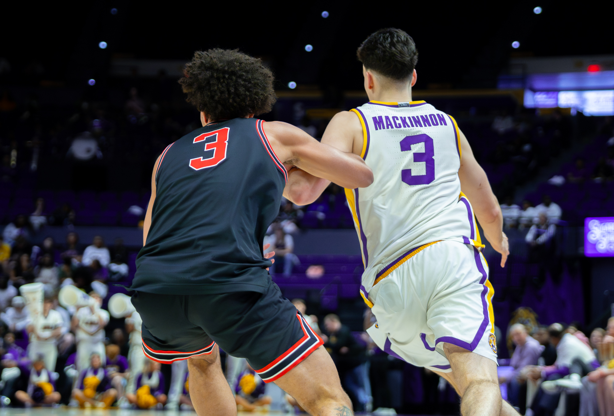 PHOTOS: LSU men's basketball earns eighth SEC loss