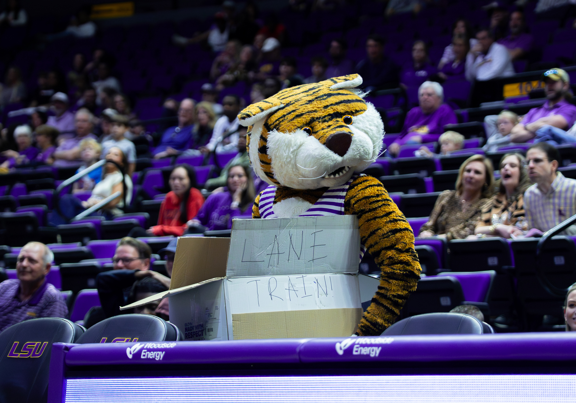 PHOTOS: LSU men's basketball earns eighth SEC loss