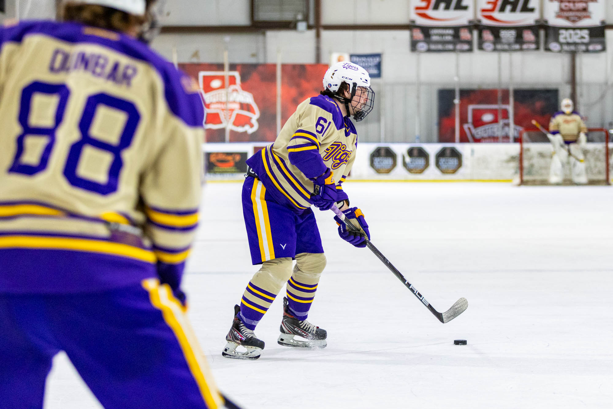 PHOTOS: LSU club hockey crushes Tulane in last home game
