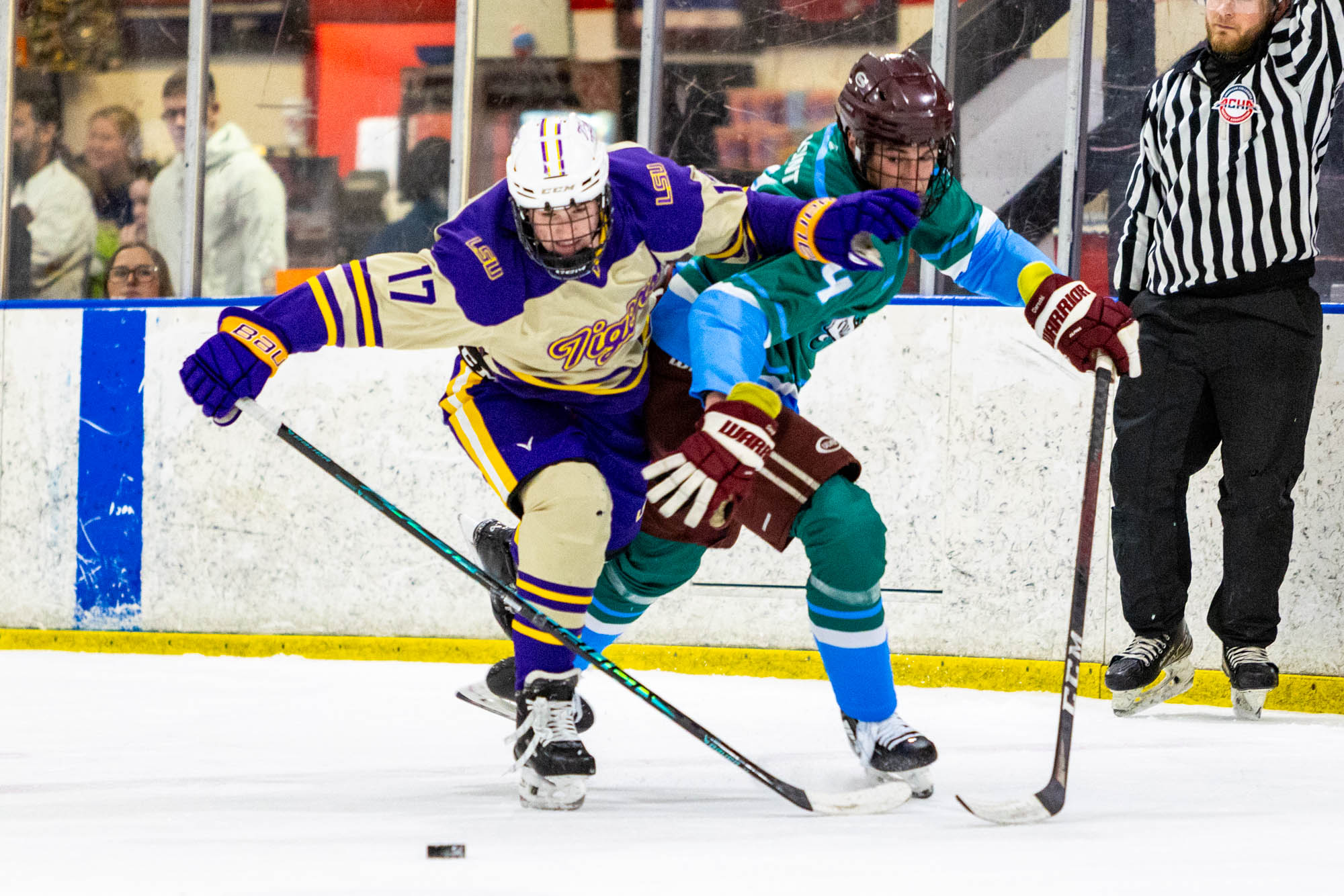 PHOTOS: LSU club hockey crushes Tulane in last home game