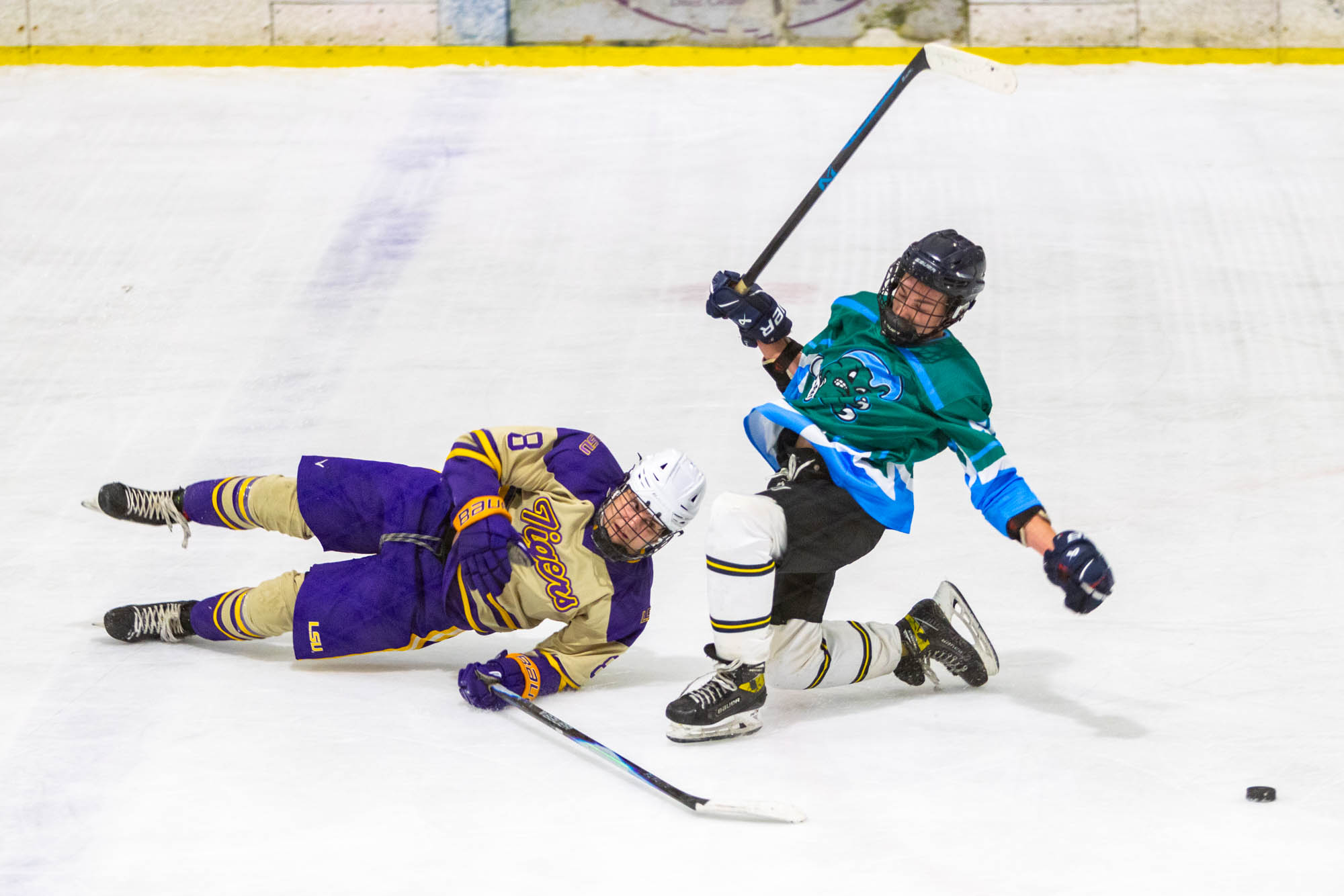 PHOTOS: LSU club hockey crushes Tulane in last home game