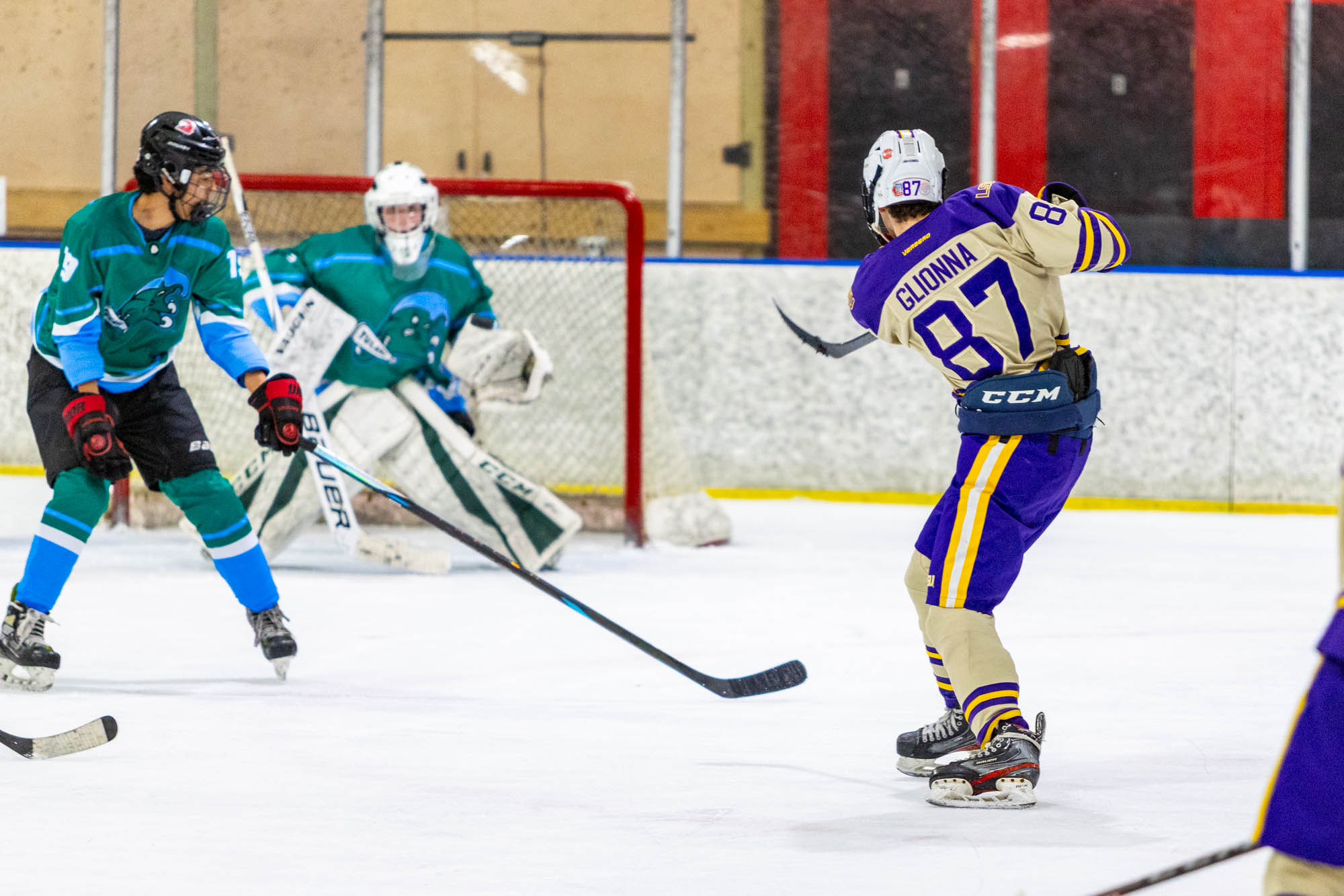PHOTOS: LSU club hockey crushes Tulane in last home game