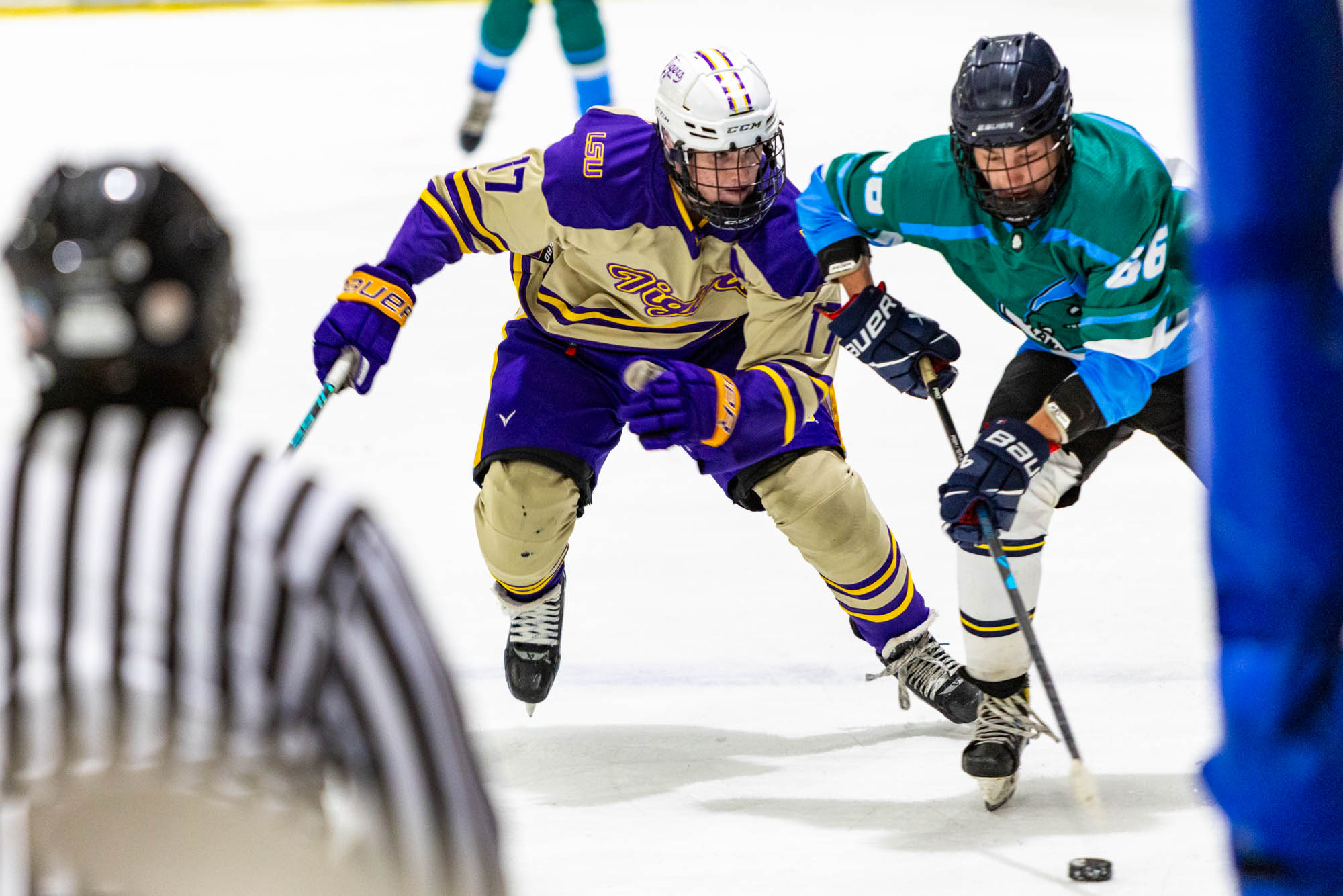 PHOTOS: LSU club hockey crushes Tulane in last home game