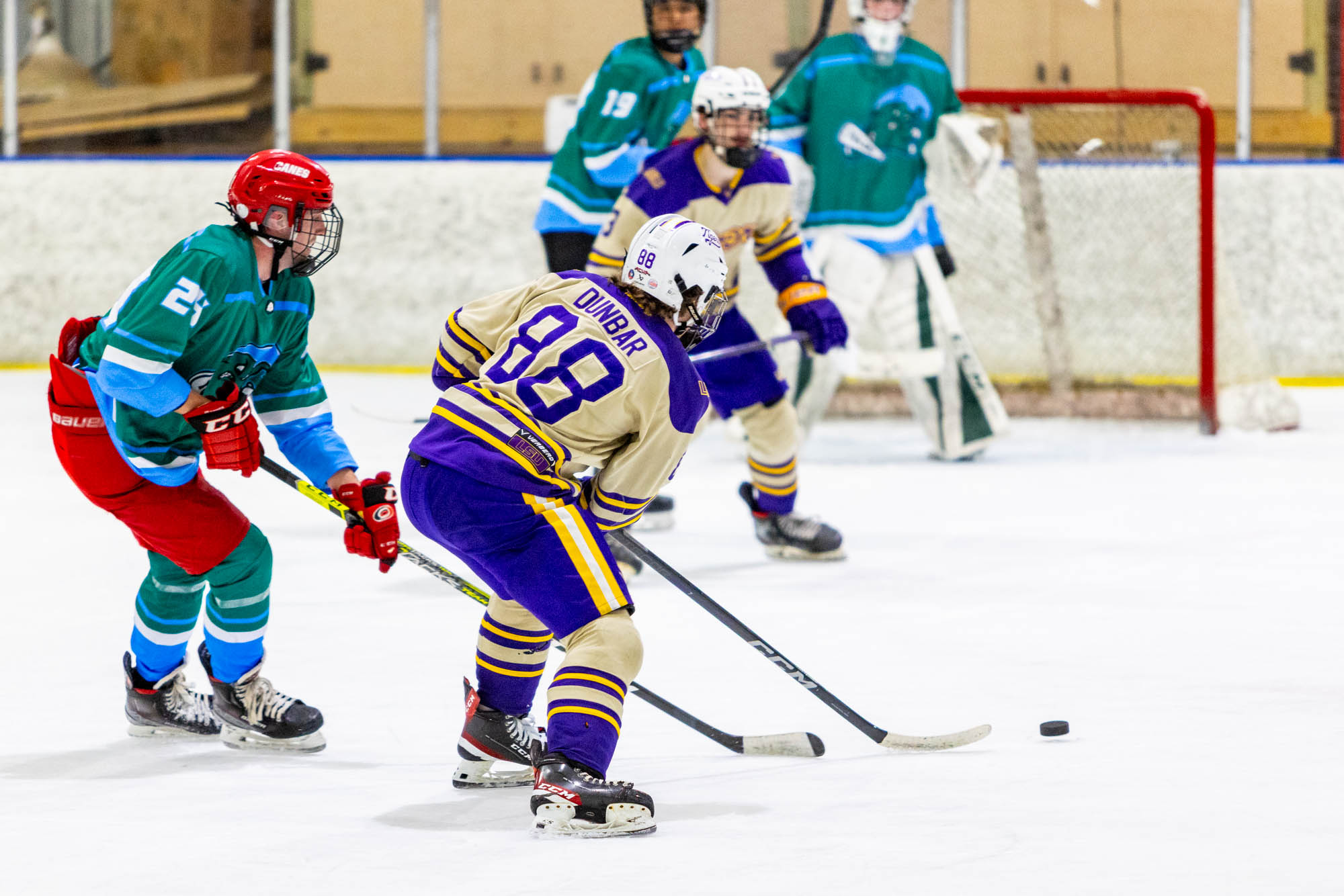 PHOTOS: LSU club hockey crushes Tulane in last home game