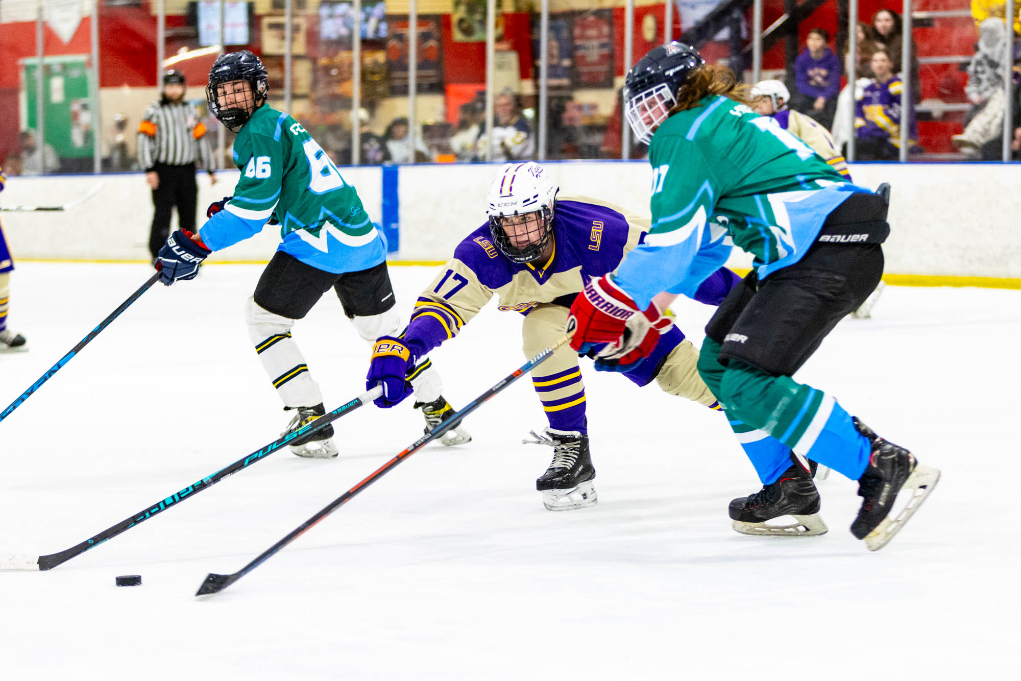 PHOTOS: LSU club hockey crushes Tulane in last home game