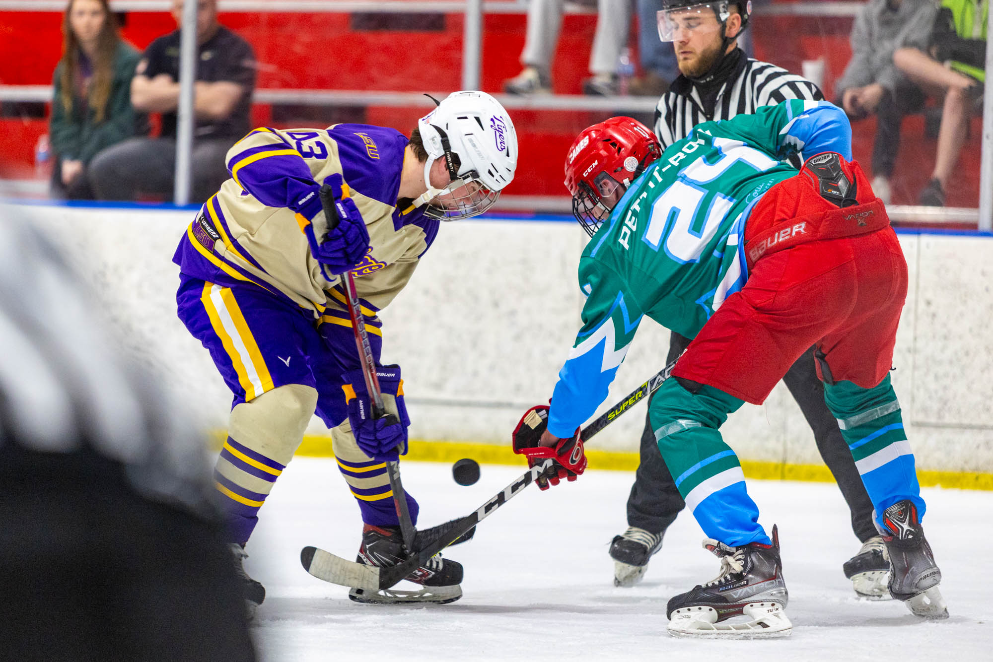 PHOTOS: LSU club hockey crushes Tulane in last home game