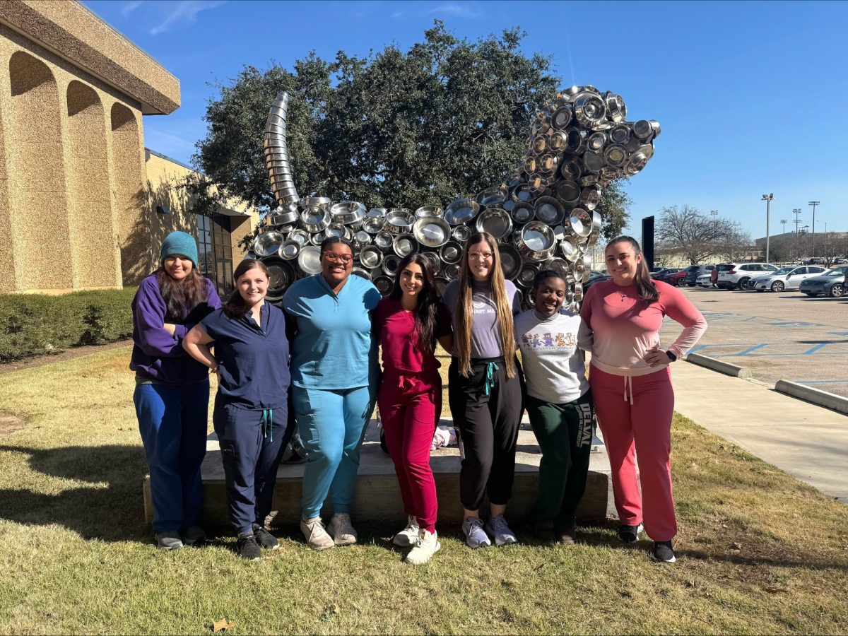 Here's how the SVM Ambassadors are representing the LSU vet school, empowering students