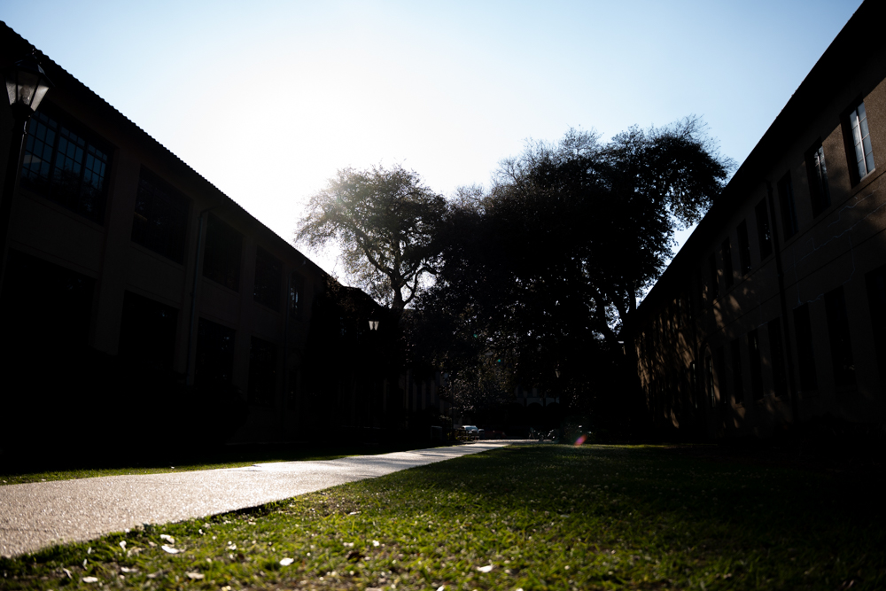 PHOTOS: Silhouettes around LSU campus