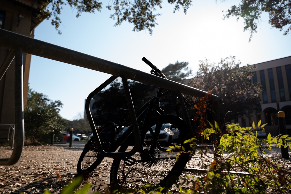 PHOTOS: Silhouettes around LSU campus
