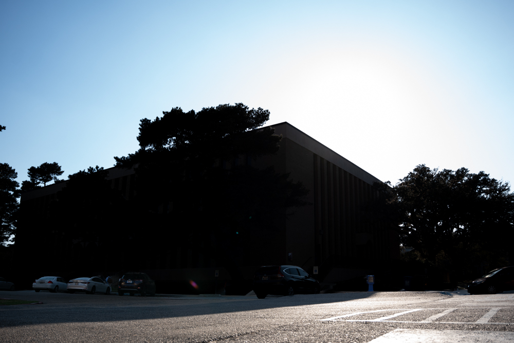 PHOTOS: Silhouettes around LSU campus