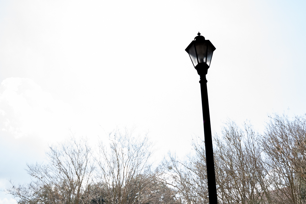 PHOTOS: Silhouettes around LSU campus