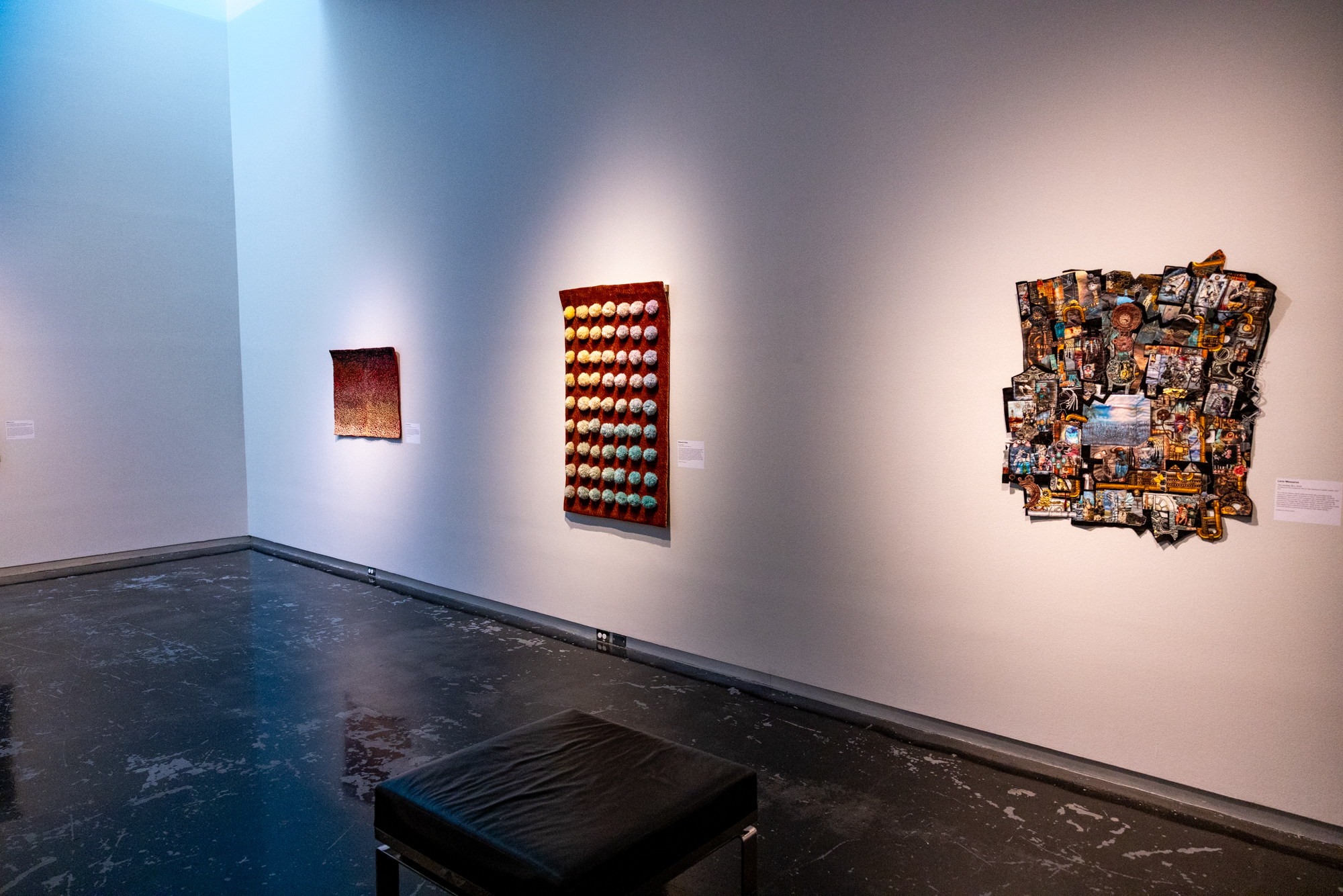 PHOTOS: LSU Museum of Art hosts AI-themed exhibition