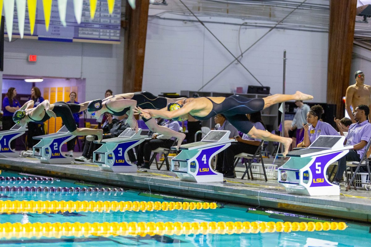 LSU swimming and diving sophomore breaststroke/freestyle Grace Palmer (left, lane 3), freshman breaststroke/freestyle Martina Bukvik (middle, lane 4), and junior butterfly/freestyle Sabrina Lyn (right, lane 5) begin the women's 100 breaststroke Saturday, Jan. 24, 2026, at the LSU Natatorium in Baton Rouge, La.