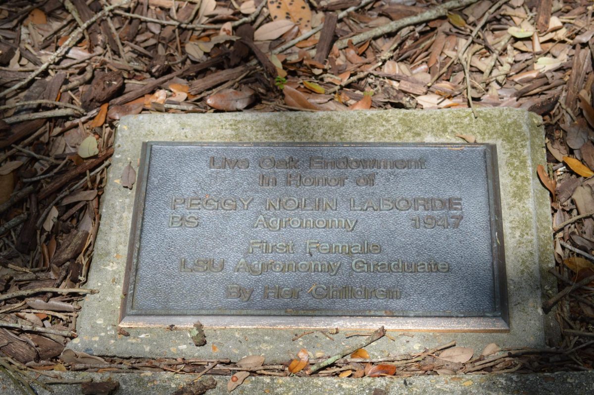 A plaque in front of an oak tree near Woodin Hall honoring Peggy Laborde, the first female agronomy graduate at LSU. (Courtesy of the LSU AgCenter).