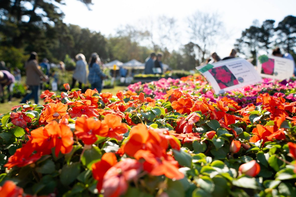 Flowers sit Saturday, March 28, 2026, during the Spring Garden Festival at the LSU Agcenter Botanic Gardens on Essen Lane in Baton Rouge, La.