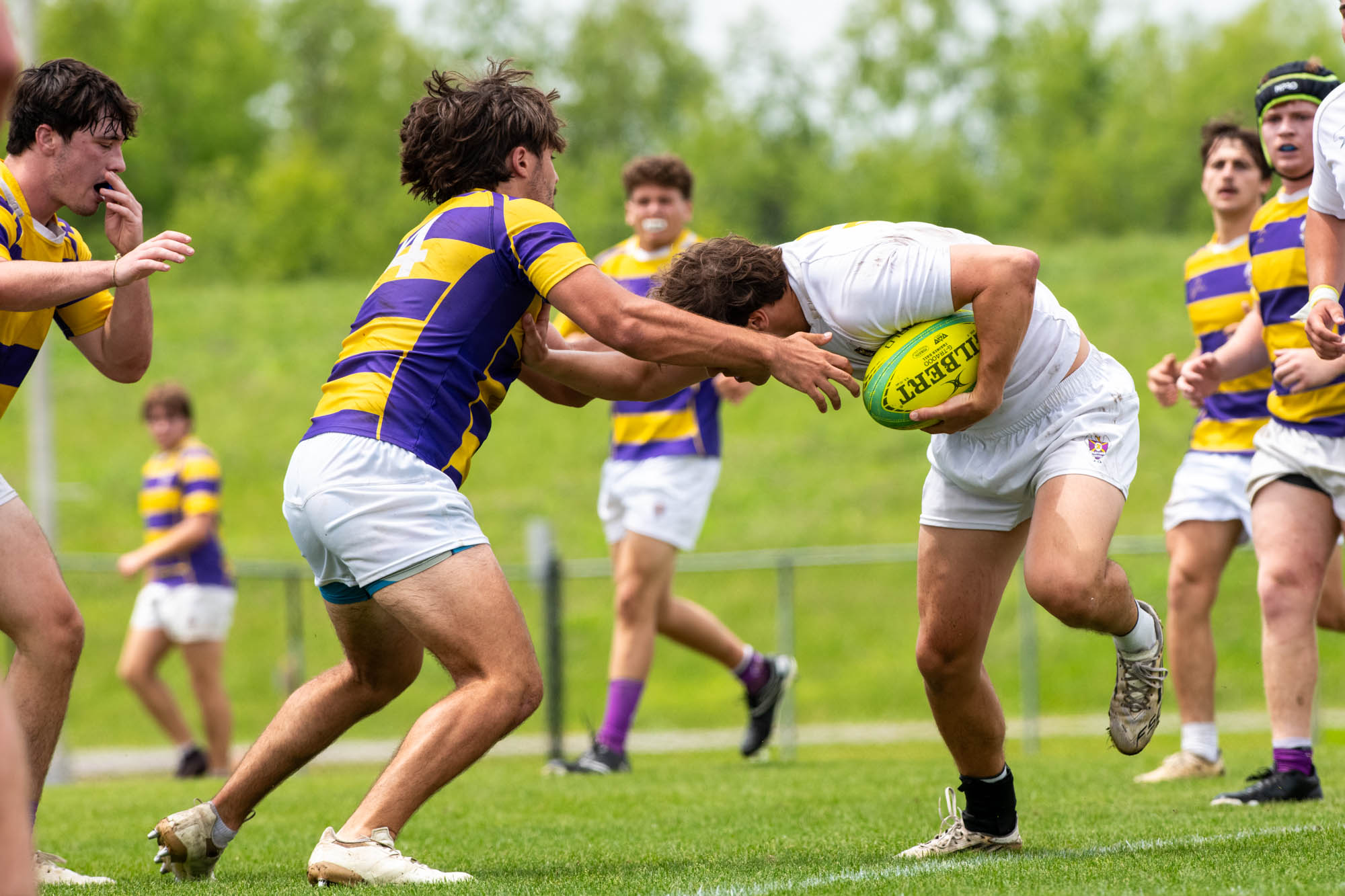 PHOTOS: LSU rugby hosts annual alumni game
