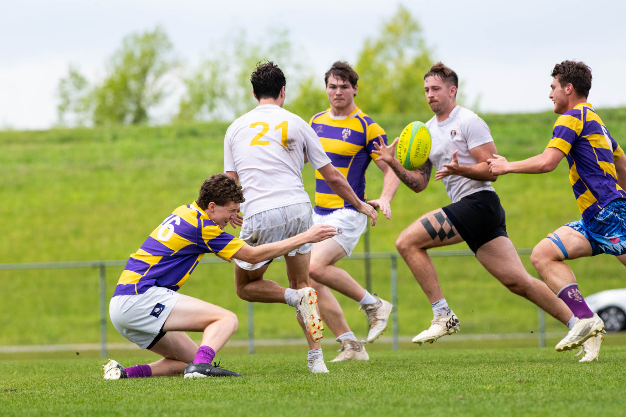 PHOTOS: LSU rugby hosts annual alumni game