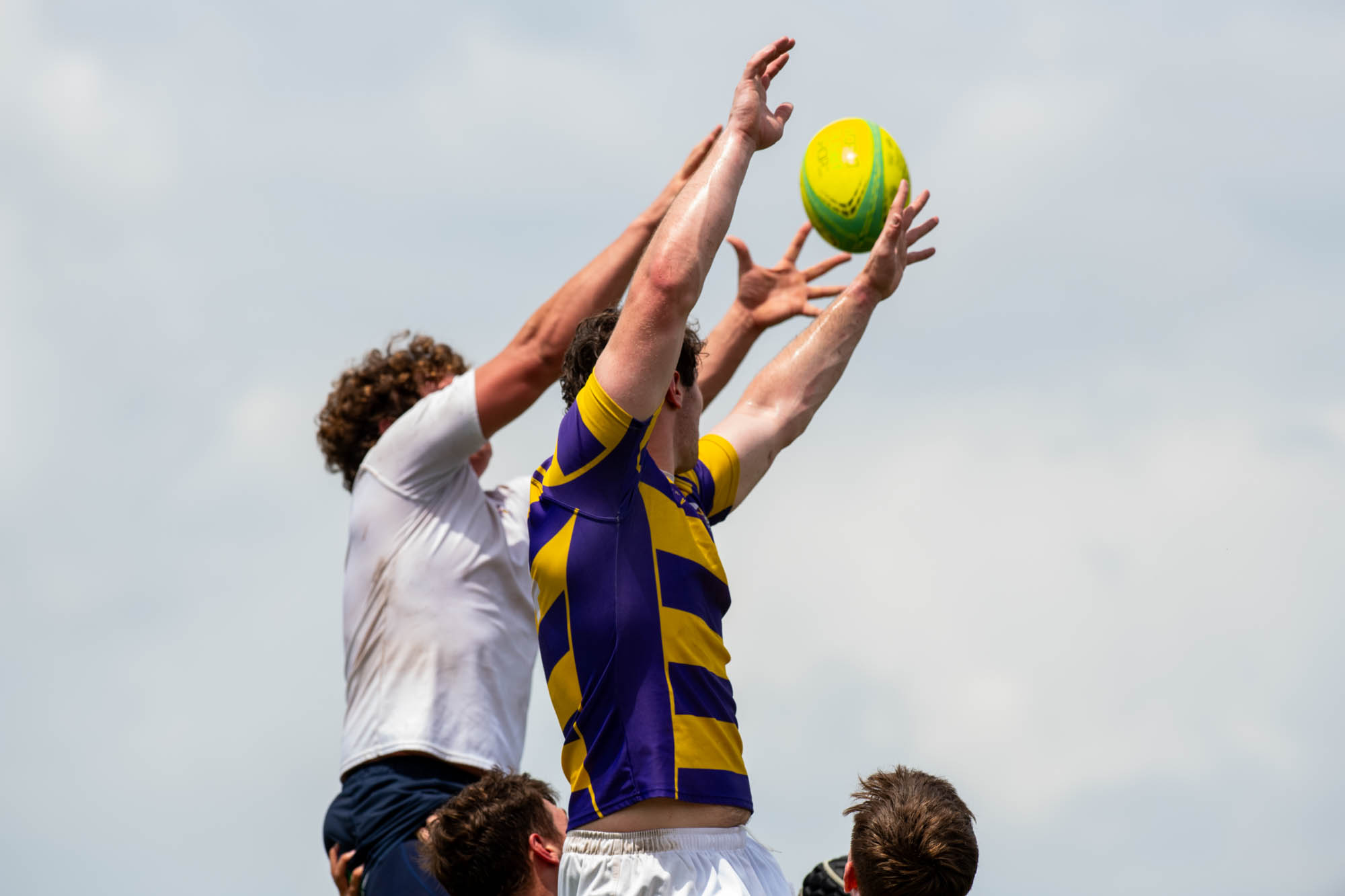 PHOTOS: LSU rugby hosts annual alumni game