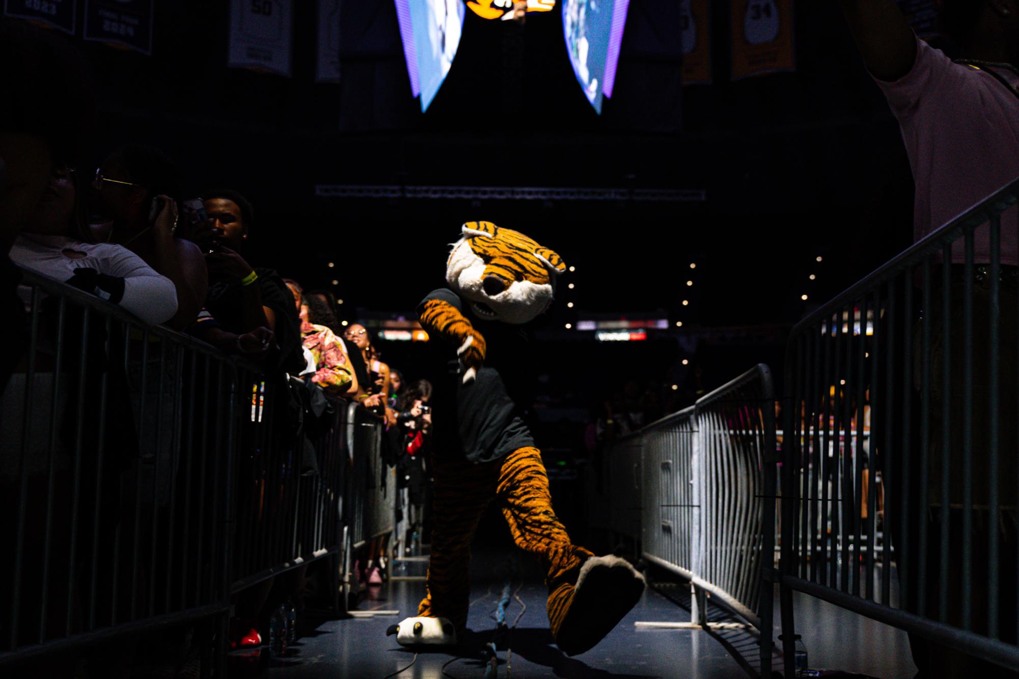 PHOTOS: LSU's Groovin' 2026