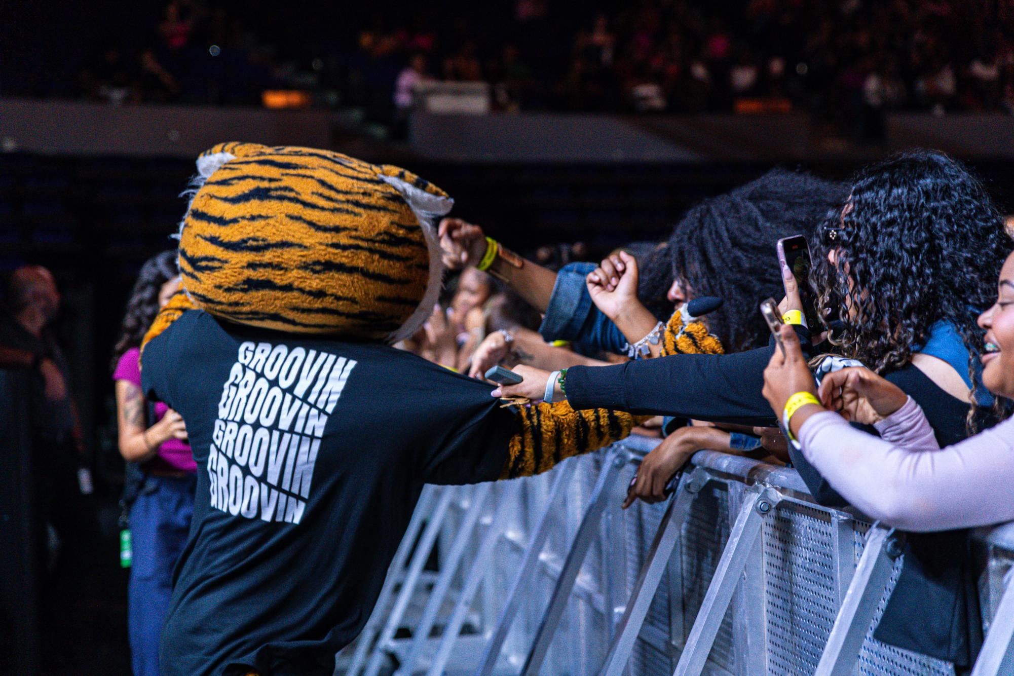 PHOTOS: LSU's Groovin' 2026