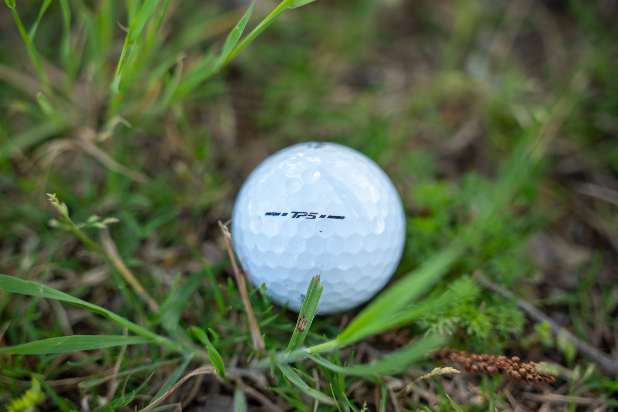 The LSU Golf Course is set to close soon. See photos before it's gone