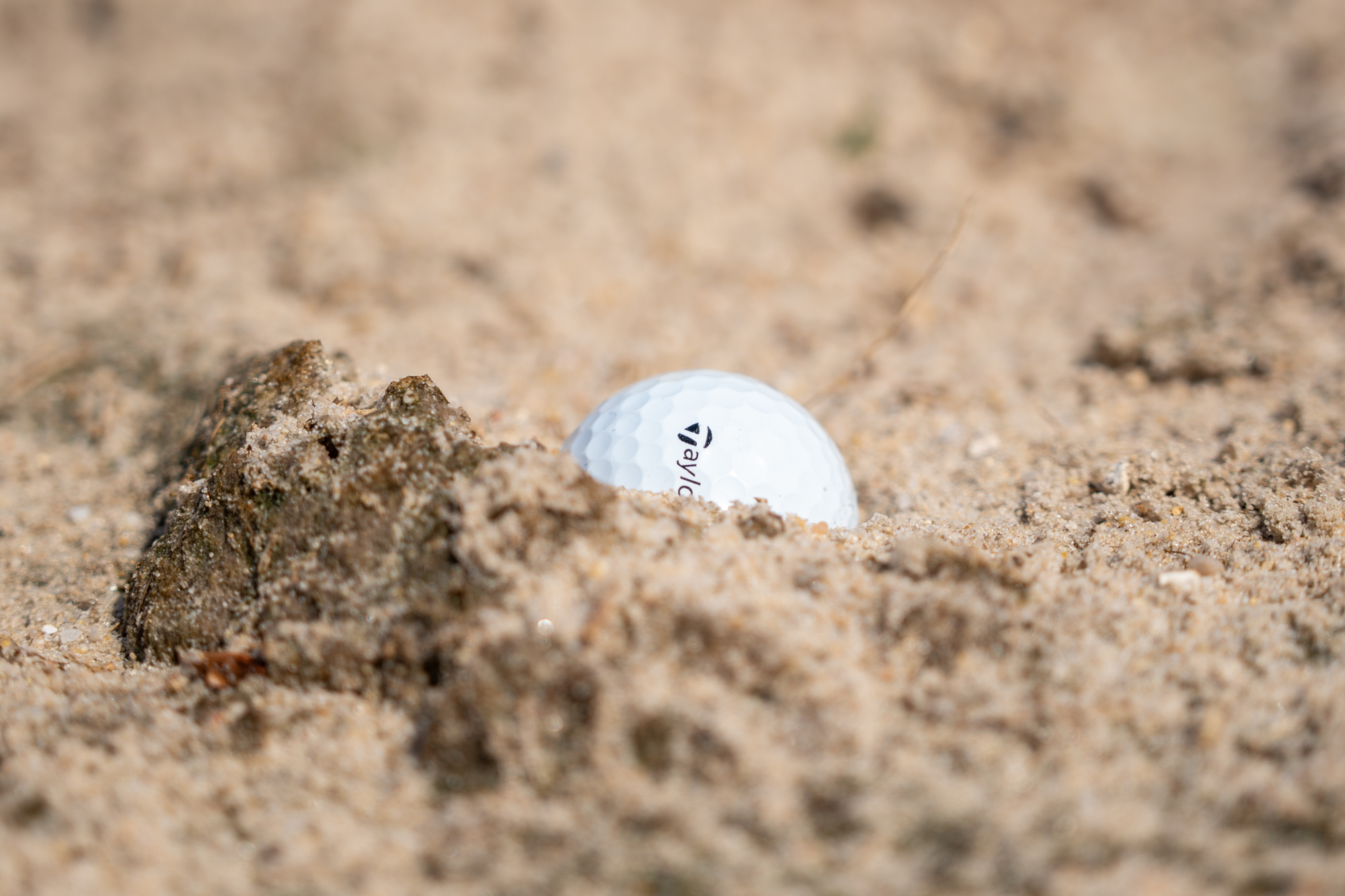 The LSU Golf Course is set to close soon. See photos before it's gone