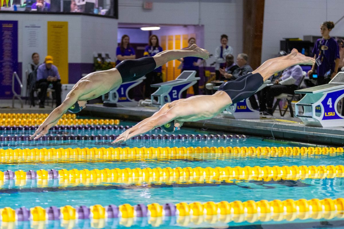 LSU swimming and diving sophomore breaststroke Volodymyr Lisovets (left) and junior breaststroke/individual medley Levi Thome (right) begin the men's 100 breaststroke Saturday, Jan. 24, 2026, at the LSU Natatorium in Baton Rouge, La.