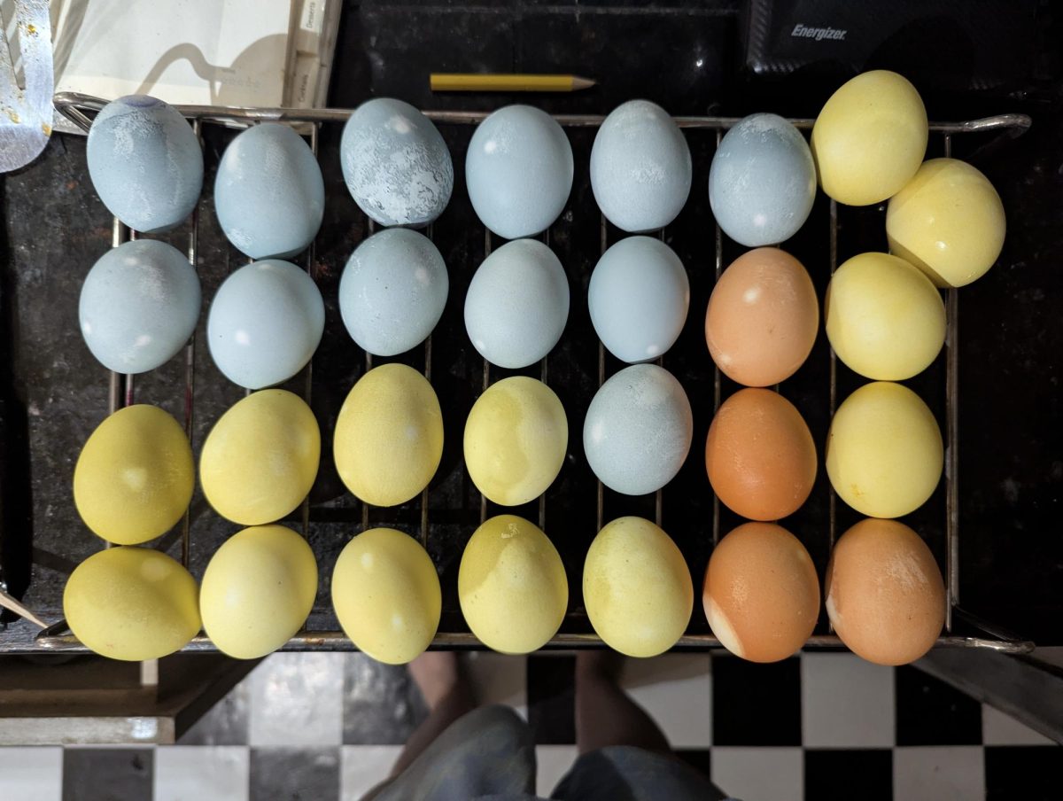 Eggs dyed using traditional natural dyes for Erin Segura's Beginner Louisiana French II class. (Courtesy of Erin Segura).