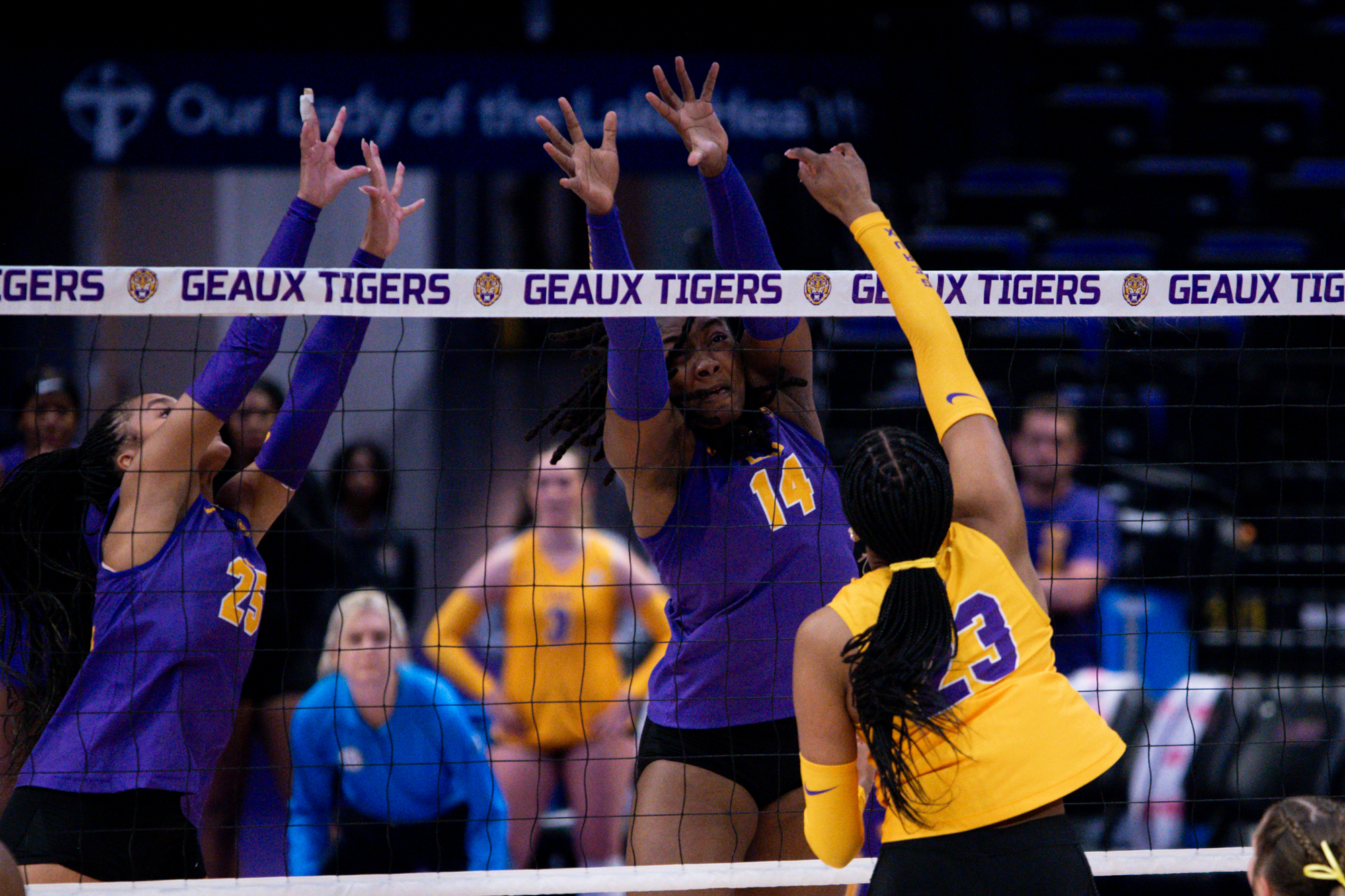 PHOTOS: LSU volleyball hosts spring Purple vs Gold Scrimmage