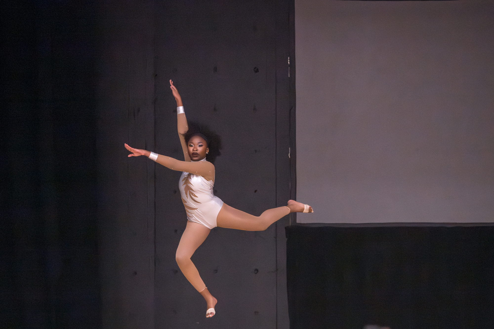 PHOTOS: Tiger Heat Stomp N' Shake showcase