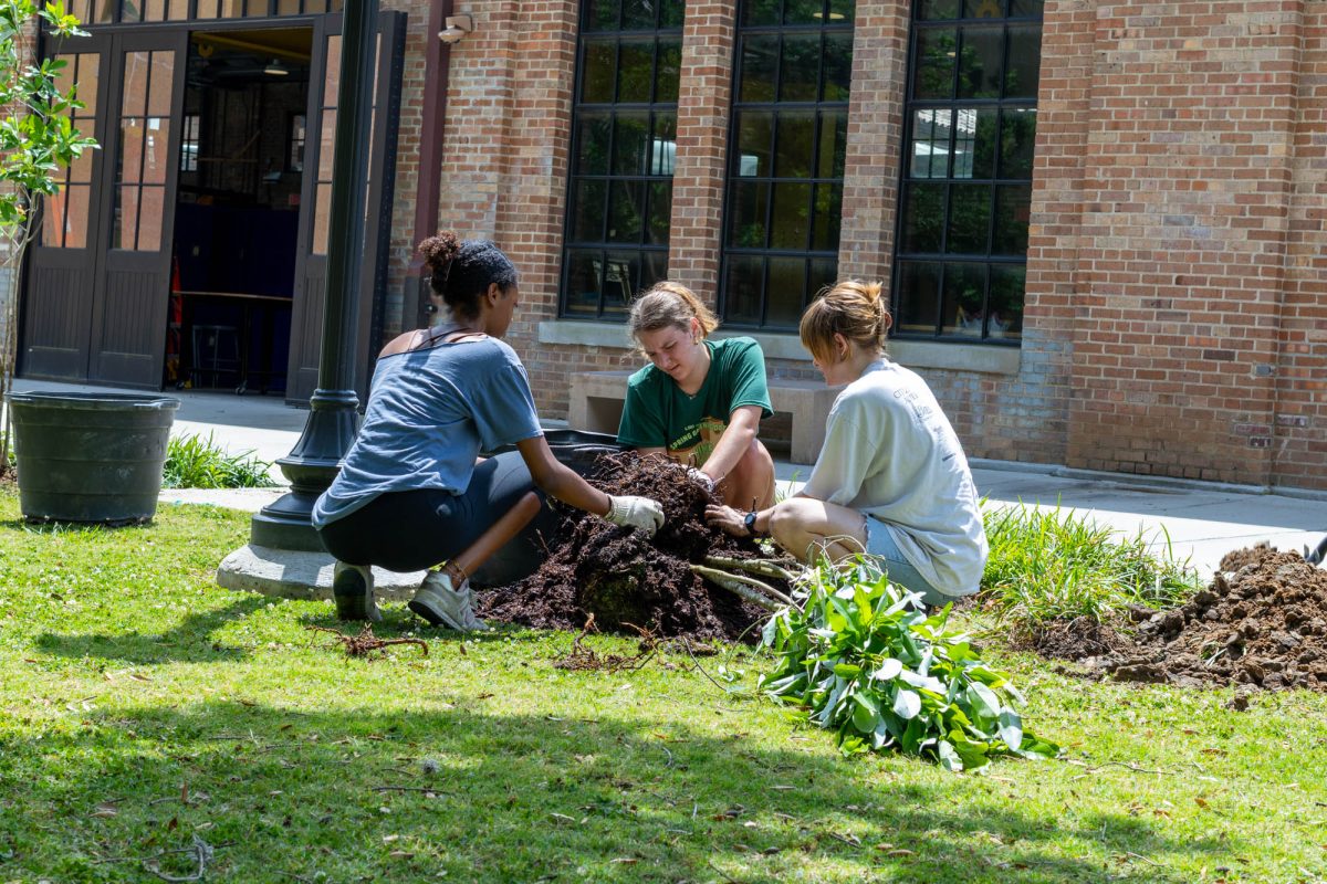 Volunteers plant trees Friday, April 24, 2026, outside the Barnes Ogden Art and Design Complex in Baton Rouge, La.